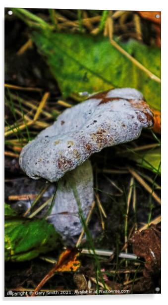 Dead Fungi  Acrylic by GJS Photography Artist