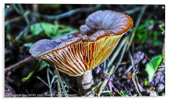 Milkcap with Glowing Ribs Acrylic by GJS Photography Artist