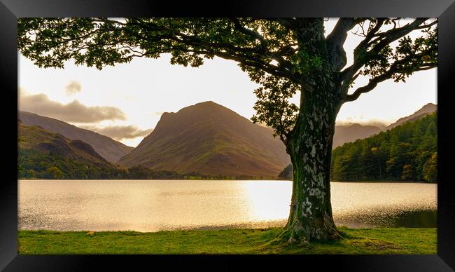 Buttermere with Fleetwith Pike at Sunrise Lake District Framed Print by Greg Marshall