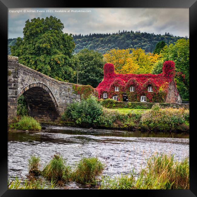 Llanrwst Cottage And Bridge Framed Print by Adrian Evans