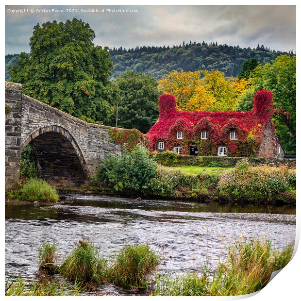 Llanrwst Cottage And Bridge Print by Adrian Evans
