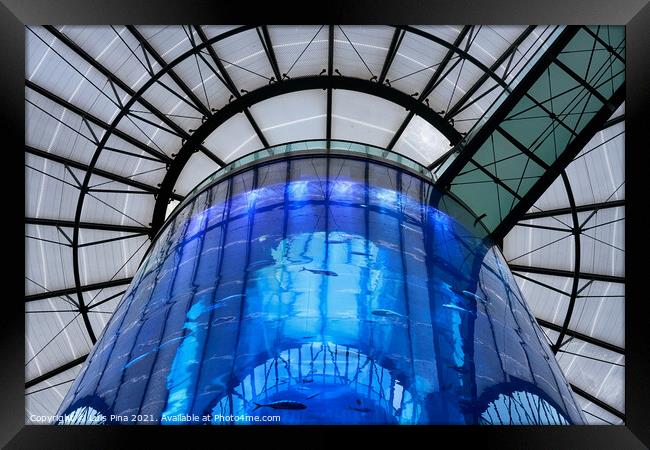 Aquarium inside Radisson Hotel Sea Life in Berlin Framed Print by Luis Pina