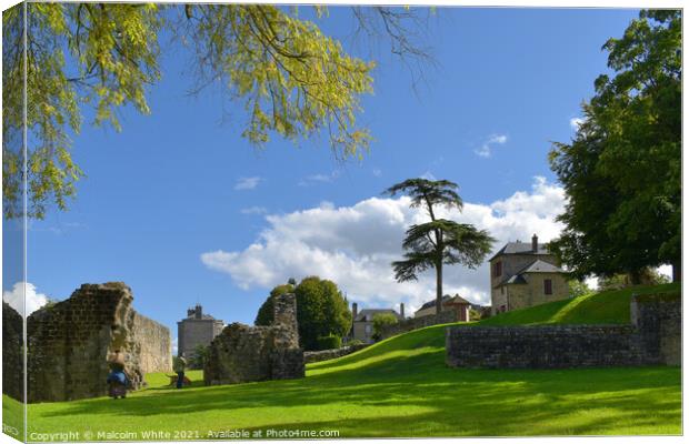 Castle Grounds Canvas Print by Malcolm White