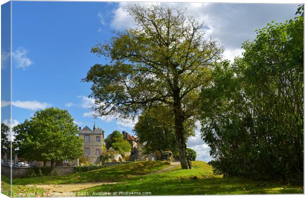 Castle Grounds Domfront 61700 Canvas Print by Malcolm White