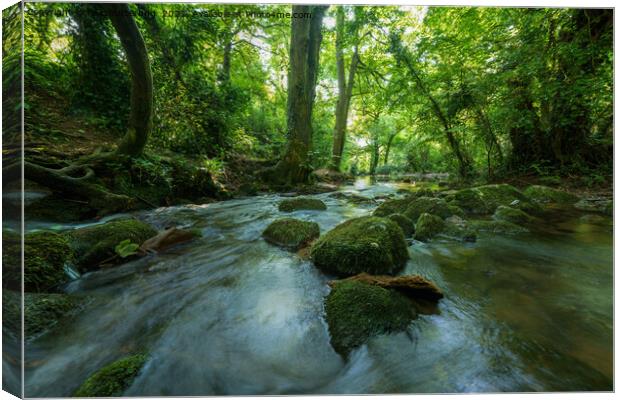 Dyserth to Prestatyn Way Canvas Print by rawshutterbug 