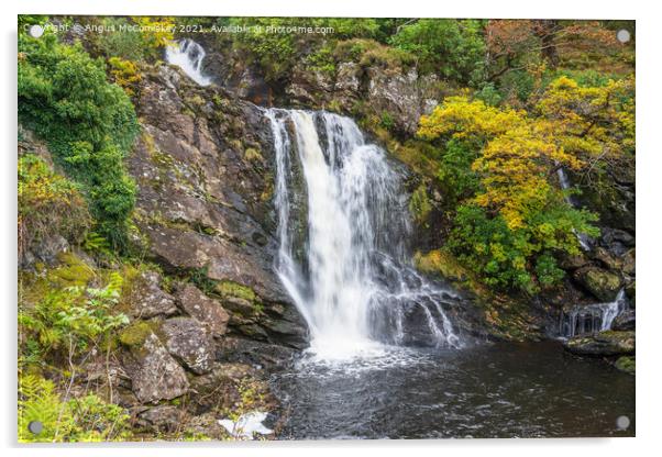 Inversnaid Falls, Loch Lomond Acrylic by Angus McComiskey