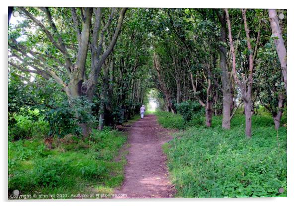 Woodland walk. Acrylic by john hill