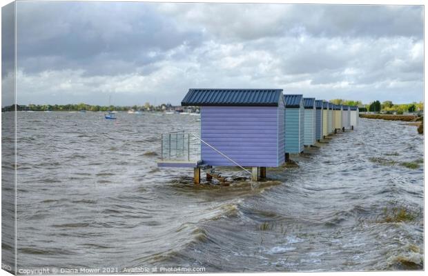 High tide at Osea View  Canvas Print by Diana Mower