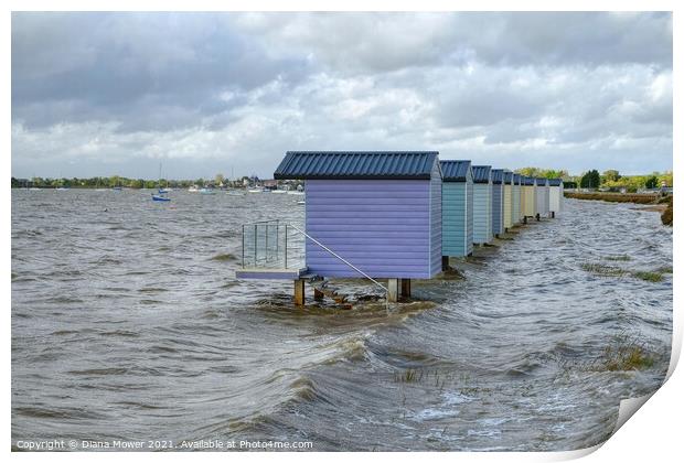 High tide at Osea View  Print by Diana Mower
