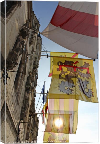 Colourful Flags, Dendermonde Town Hall, Belgium Canvas Print by Imladris 