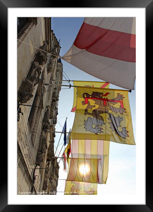 Colourful Flags, Dendermonde Town Hall, Belgium Framed Mounted Print by Imladris 