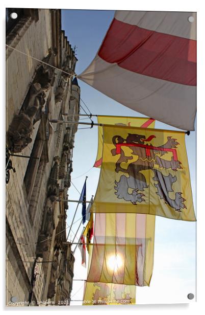 Colourful Flags, Dendermonde Town Hall, Belgium Acrylic by Imladris 