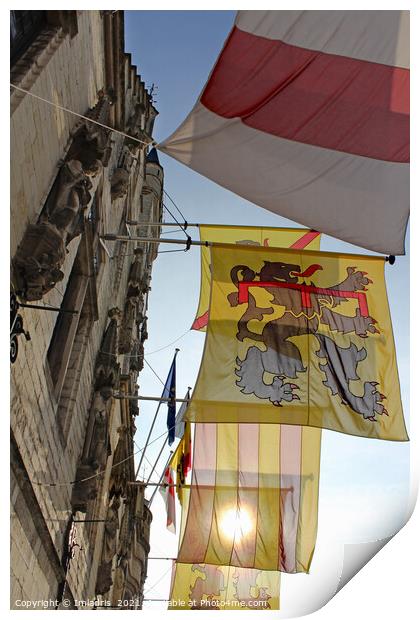 Colourful Flags, Dendermonde Town Hall, Belgium Print by Imladris 