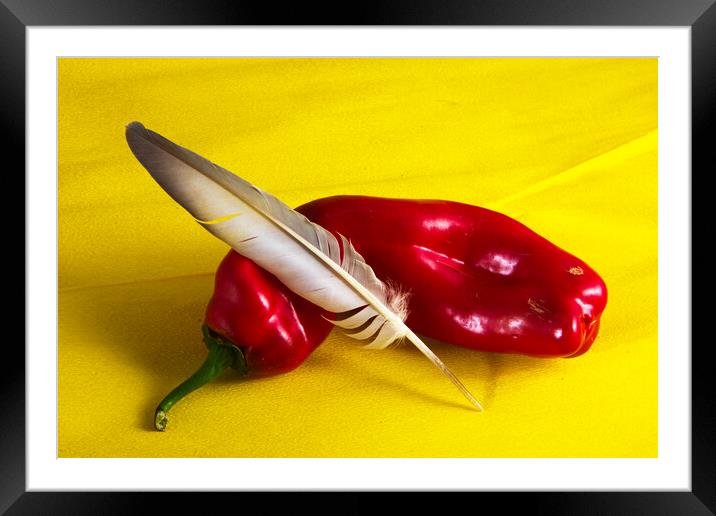 Minimalistic still life with a red pepper and a feather Framed Mounted Print by Jose Manuel Espigares Garc