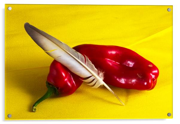Minimalistic still life with a red pepper and a feather Acrylic by Jose Manuel Espigares Garc