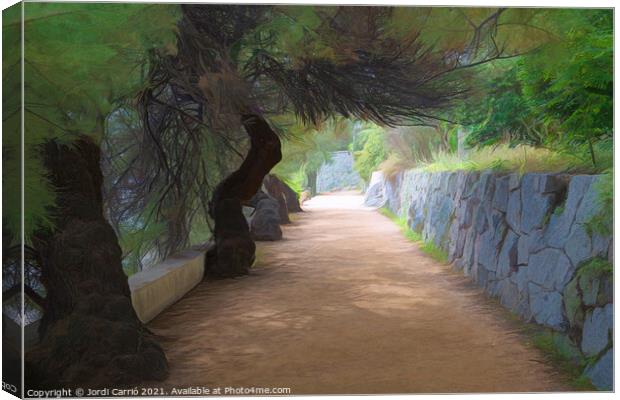 Road from S'Agaró to Playa de Aro - CR2109-5814-PI Canvas Print by Jordi Carrio