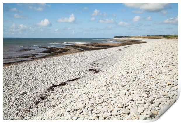 Limpert Bay, Aberthaw Print by Heidi Stewart