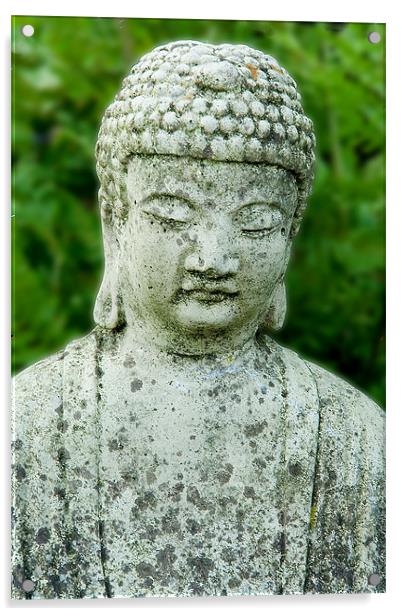 Buddha Acrylic by Wayne Molyneux