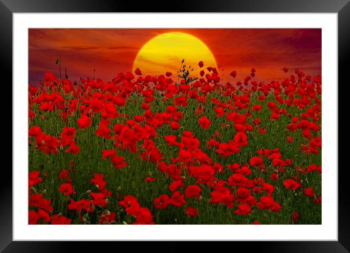 At the Going Down of the Sun - Sunset Poppy Field  Framed Mounted Print by Martyn Arnold