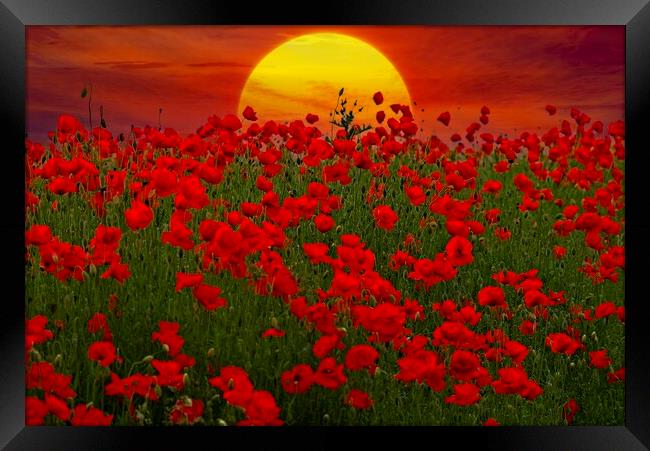 At the Going Down of the Sun - Sunset Poppy Field  Framed Print by Martyn Arnold