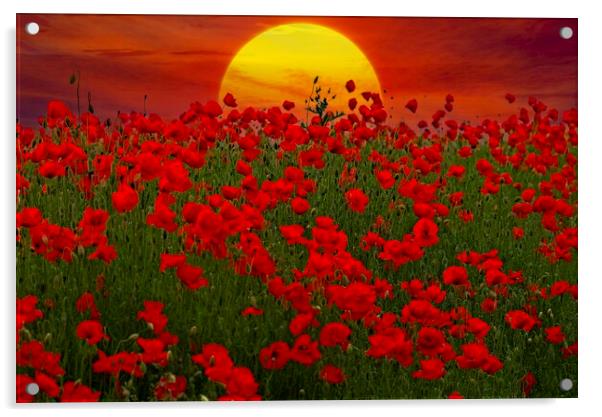 At the Going Down of the Sun - Sunset Poppy Field  Acrylic by Martyn Arnold
