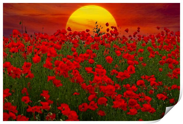 At the Going Down of the Sun - Sunset Poppy Field  Print by Martyn Arnold