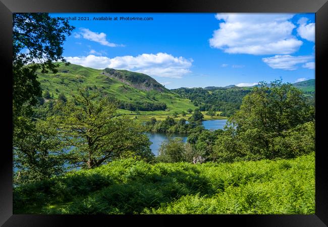 Loughrigg Fell and Grasmere from the Coffin Route Lake District Framed Print by Greg Marshall