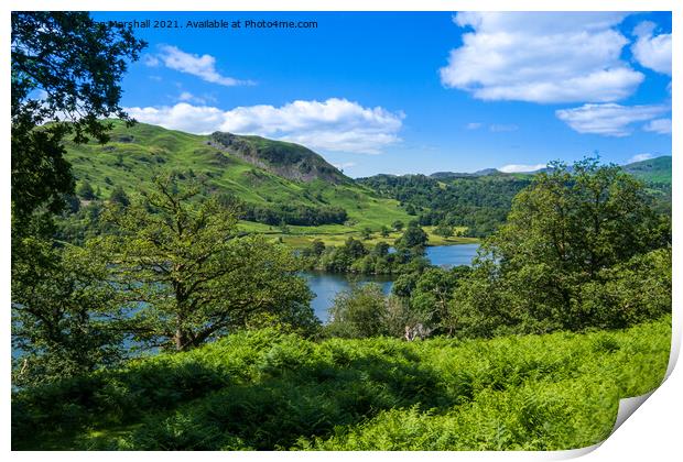 Loughrigg Fell and Grasmere from the Coffin Route Lake District Print by Greg Marshall