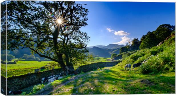 At the end of the day, Easedale, Grasmere, The Lake District Canvas Print by Greg Marshall