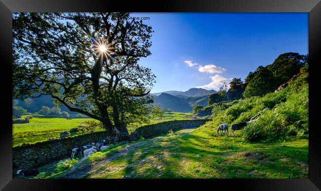 At the end of the day, Easedale, Grasmere, The Lake District Framed Print by Greg Marshall