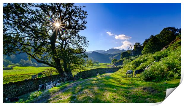 At the end of the day, Easedale, Grasmere, The Lake District Print by Greg Marshall