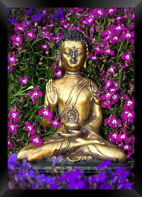 Buddha Framed Print by Wayne Molyneux