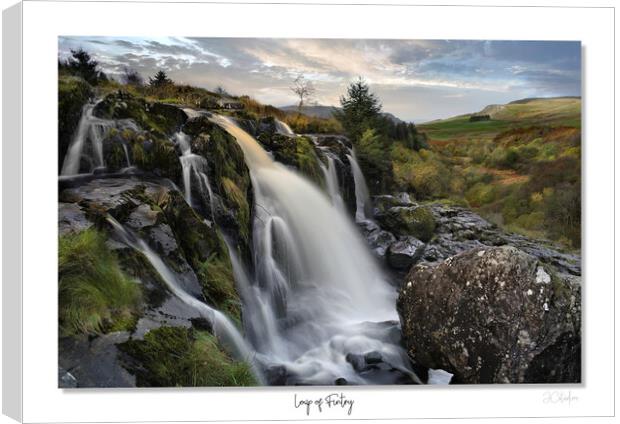 Loup of Fintry Canvas Print by JC studios LRPS ARPS