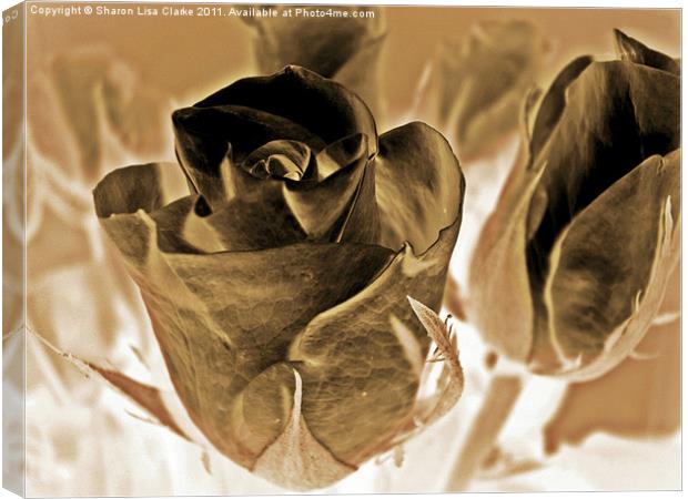 chocolate roses Canvas Print by Sharon Lisa Clarke