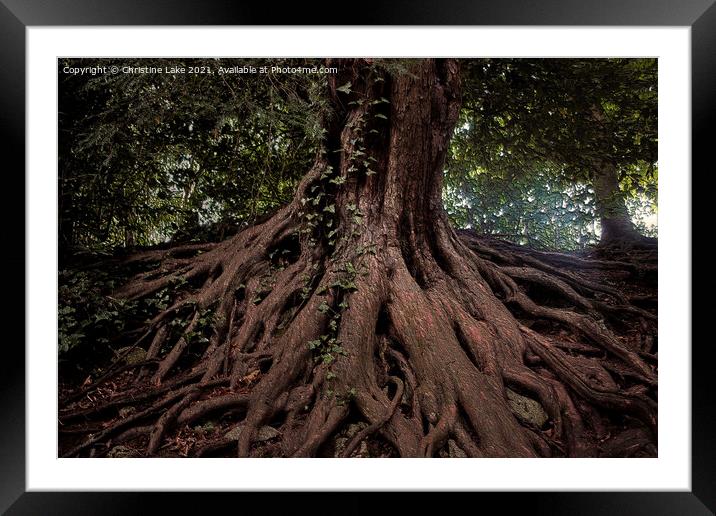 Reaching Out Framed Mounted Print by Christine Lake