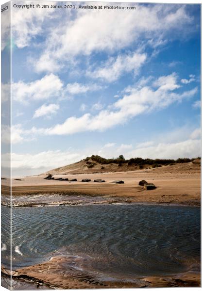 The Sand Dunes at Alnmouth Canvas Print by Jim Jones