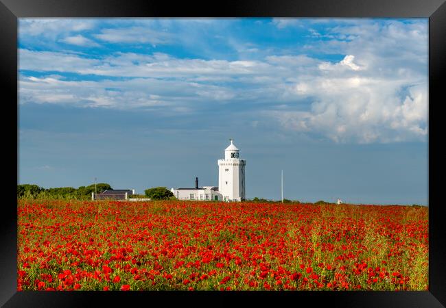 Poppies at South Foreland Framed Print by Stewart Mckeown