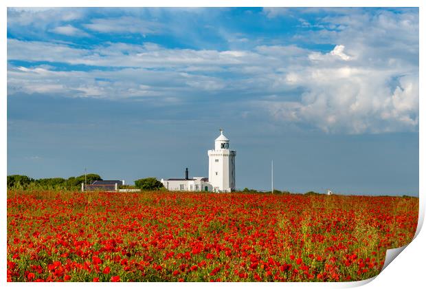 Poppies at South Foreland Print by Stewart Mckeown