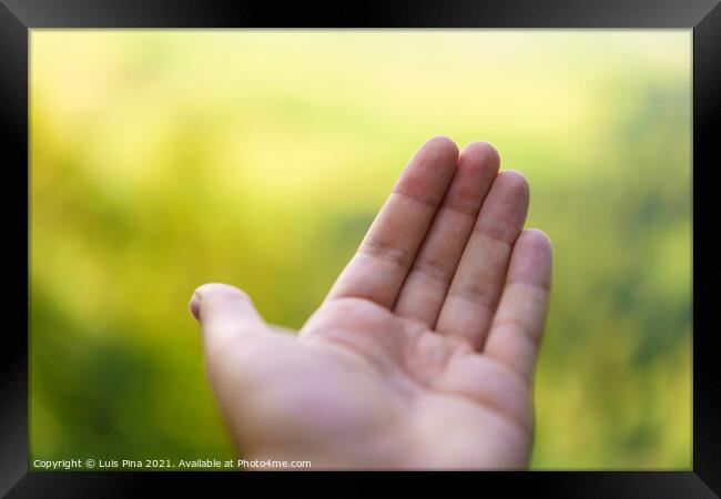 Empty Hand with blurred bokeh landscape background Framed Print by Luis Pina