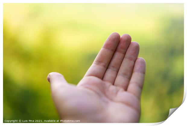 Empty Hand with blurred bokeh landscape background Print by Luis Pina
