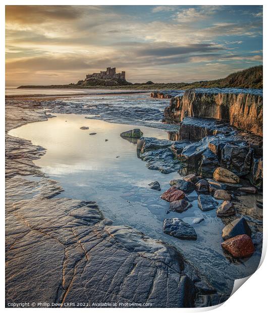 Bamburgh Castle by morning light Print by Phillip Dove LRPS