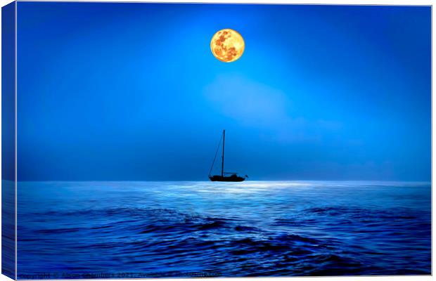 Lyme Regis Super Moon Canvas Print by Alison Chambers