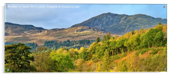 A view of Ben Vrackie in the Autumn Acrylic by Navin Mistry