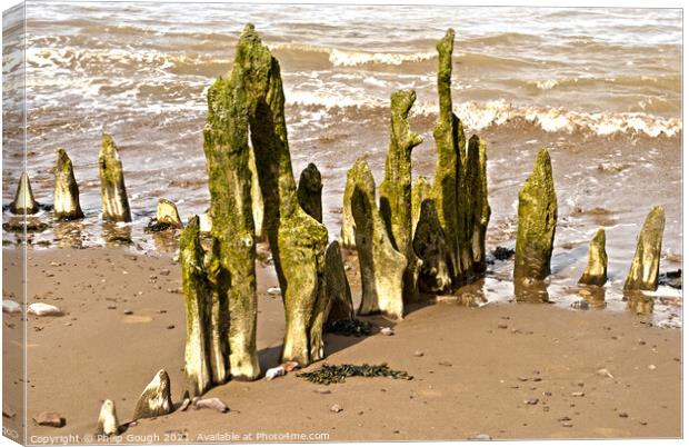 Relics on the beach. Canvas Print by Philip Gough