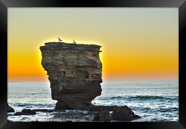 Sunset On The Rock Framed Print by Philip Gough