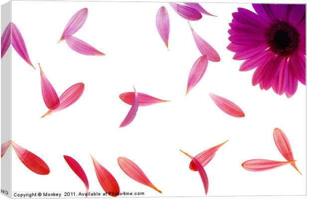 Pretty Falling Petals Canvas Print by Anthony Michael 