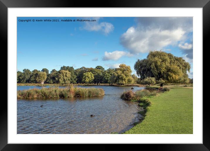 Autumn days Framed Mounted Print by Kevin White