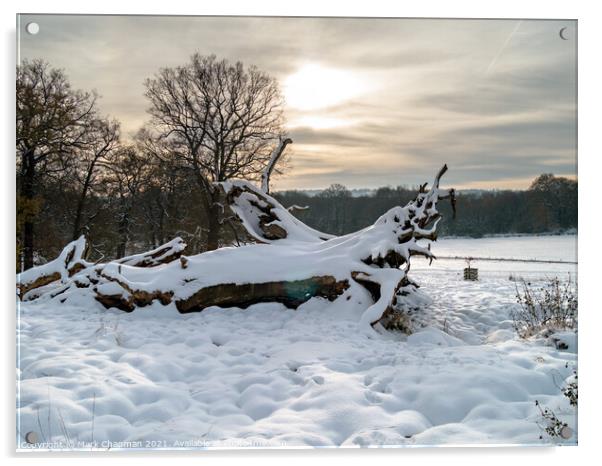 Derbyshire Winter scene Acrylic by Photimageon UK