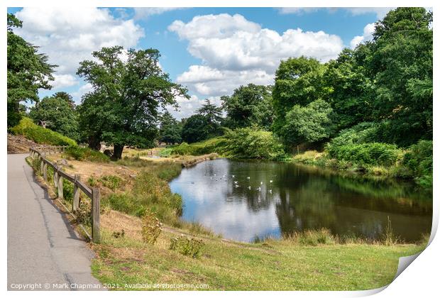 River Lin, Bradgate Park, Leicestershire Print by Photimageon UK