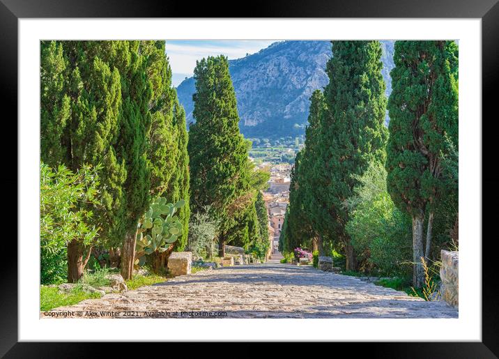 Stairway to the calvary of Pollenca Framed Mounted Print by Alex Winter